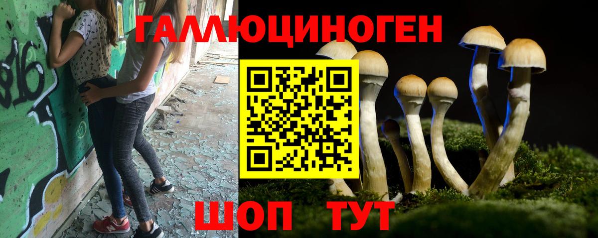 Ноябрьск  Галлюциногенные грибы прущие грибы  Вход с VPN  Псилоцибиновые грибы Psilocybine cubensis 