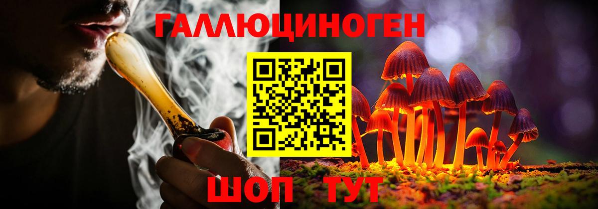 Псилоцибиновые грибы Cubensis Ноябрьск